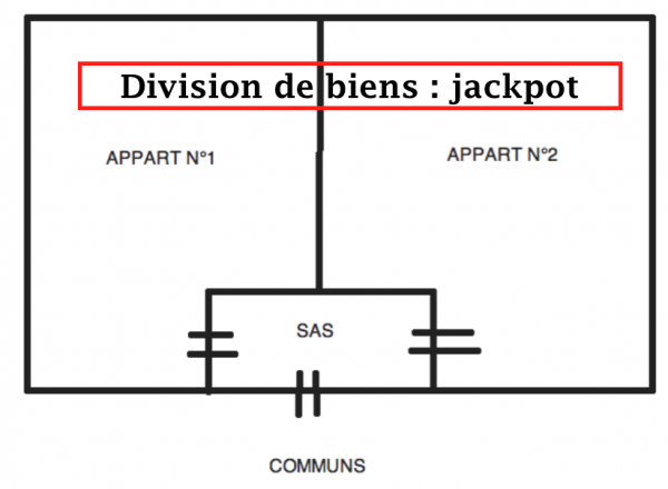 division de biens legal