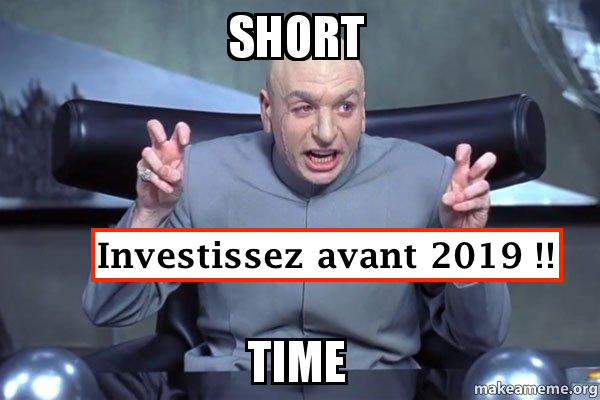 capacité d'emprunt 2019